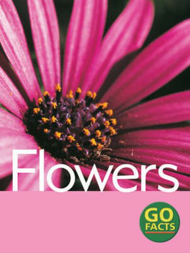 Cover image for Flowers