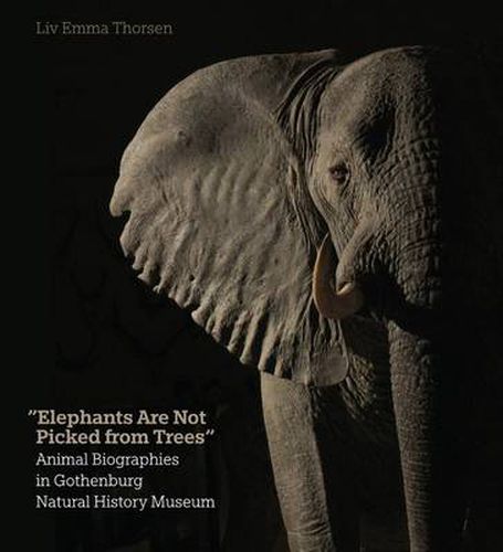 Cover image for Elephants Are Not Picked from Trees: Animal Biographies in the Gothenburg Museum of Natural History