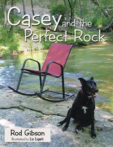 Cover image for Casey and the Perfect Rock