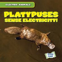 Cover image for Platypuses Sense Electricity!