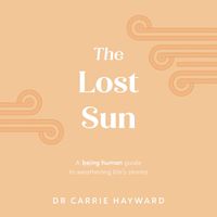 Cover image for The Lost Sun
