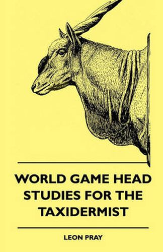 Cover image for World Game Head Studies For The Taxidermist