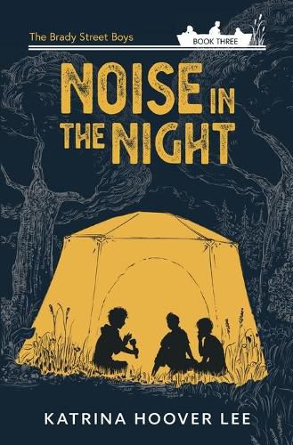 Cover image for Noise in the Night