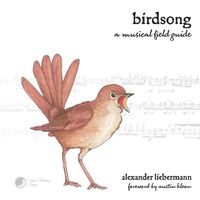 Cover image for Birdsong