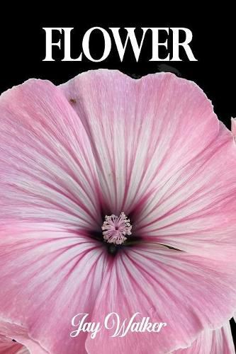 Cover image for Flower