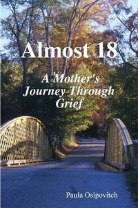 Cover image for Almost 18 " A Mother's Journey Through Grief "