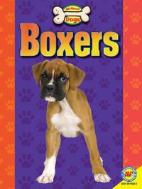 Cover image for Boxers