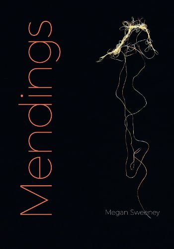 Cover image for Mendings