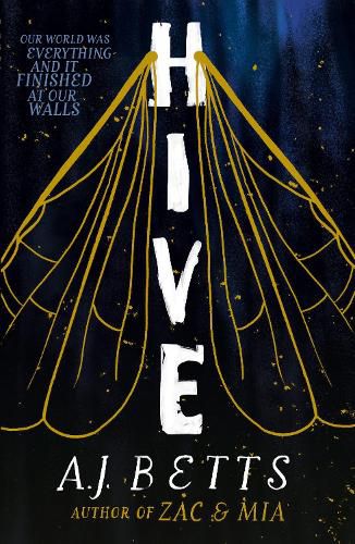 Cover image for Hive