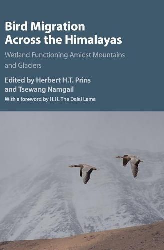 Cover image for Bird Migration across the Himalayas: Wetland Functioning amidst Mountains and Glaciers