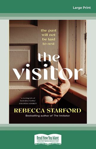 Cover image for The Visitor