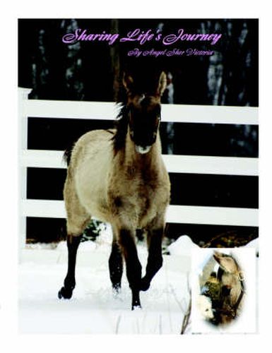 Cover image for Sharing Life's Journey