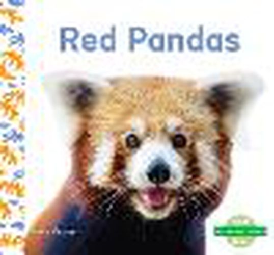 Cover image for Red Pandas