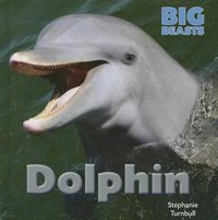 Cover image for Dolphin