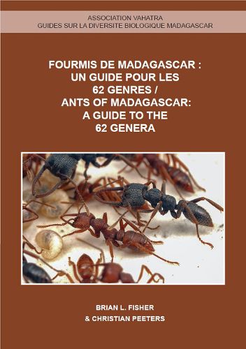 Cover image for Ants of Madagascar: A Guide to the 62 Genera