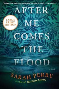 Cover image for After Me Comes the Flood