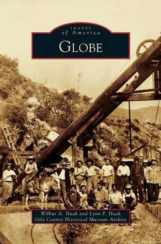 Cover image for Globe