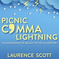 Cover image for Picnic Comma Lightning: The Experience of Reality in the Twenty-First Century