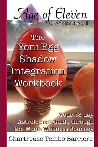 Cover image for The Yoni Egg Shadow Integration Workbook