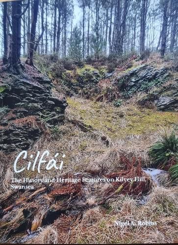 Cilfai: The History and Heritage Features on Kilvey Hill, Swansea