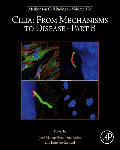 Cover image for Cilia: From Mechanisms to Disease-Part B: Volume 176