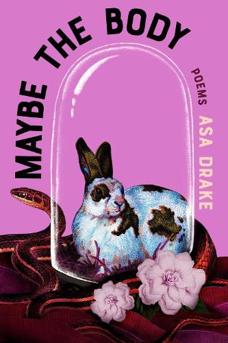 Cover image for Maybe the Body