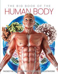 Cover image for The Big Book of the Human body