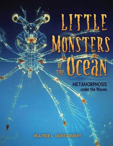 Little Monsters of the Ocean