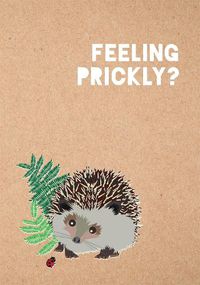 Cover image for Feeling Prickly Journal