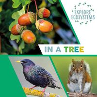 Cover image for Explore Ecosystems: In a Tree