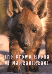 Cover image for The Brown Hyena Of Makgadikgadi