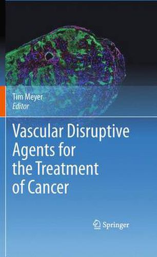 Vascular Disruptive Agents for the Treatment of Cancer