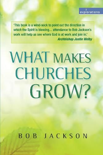 What Makes Churches Grow?: Vision and practice in effective mission