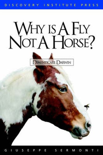 Cover image for Why is a Fly Not a Horse?