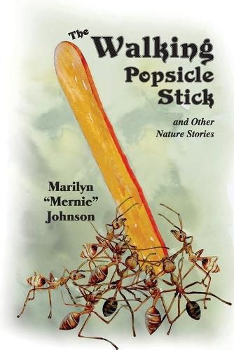 Cover image for The Walking Popsicle Stick