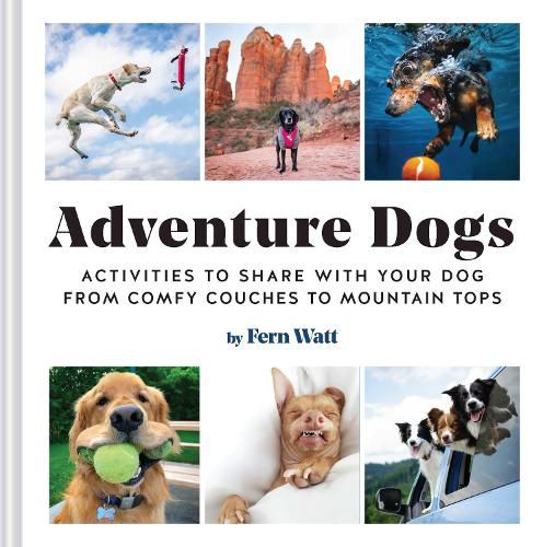 Cover image for Adventure Dogs: Activities to Share with Your Dog-from Comfy Couches to Mountain Tops