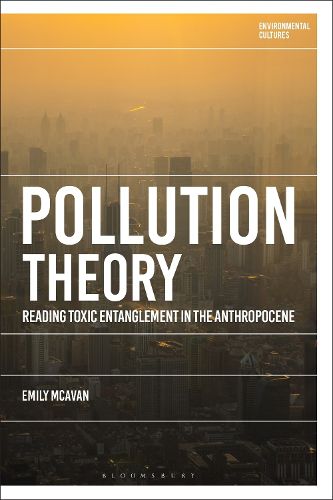 Cover image for Pollution Theory