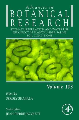 Cover image for Stomata Regulation and Water Use Efficiency in Plants under Saline Soil Conditions