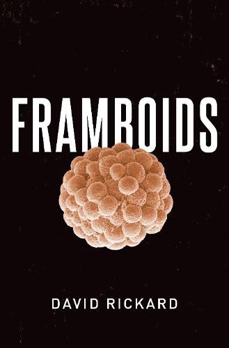 Cover image for Framboids