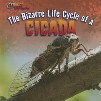 Cover image for The Bizarre Life Cycle of a Cicada