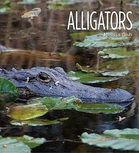 Alligators