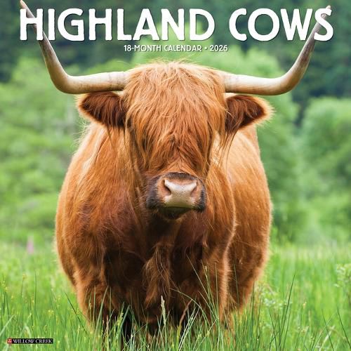 Cover image for Highland Cows 2026 12 X 12 Wall Calendar