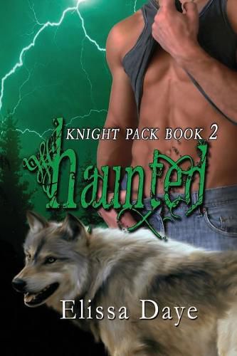 Cover image for Haunted