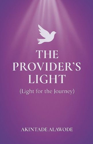 Cover image for The Provider's Light