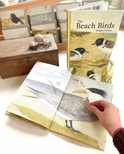 Cover image for The Beach Birds