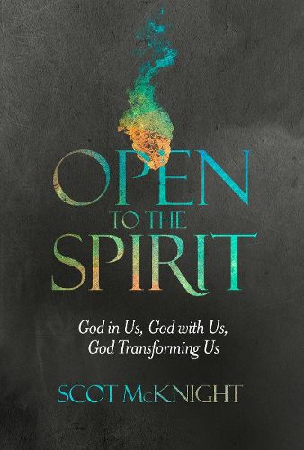 Cover image for Open to the Spirit: God in Us, God with Us, God Transforming Us