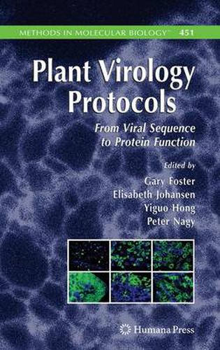 Cover image for Plant Virology Protocols: From Viral Sequence to Protein Function