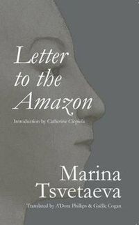 Cover image for Letter to the Amazon