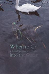 Cover image for When to Go into the Water: A Novel