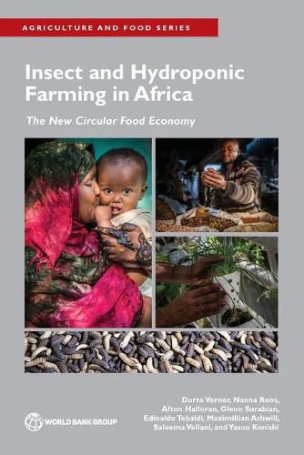 Cover image for Insect and Hydroponic Farming in Africa: The New Circular Food Economy